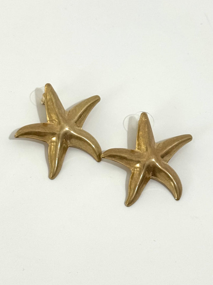 Orecchini “Stella Marina”